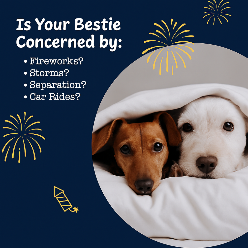Natural Calming Chews for Dogs - Daily Anxiety & Stress Relief