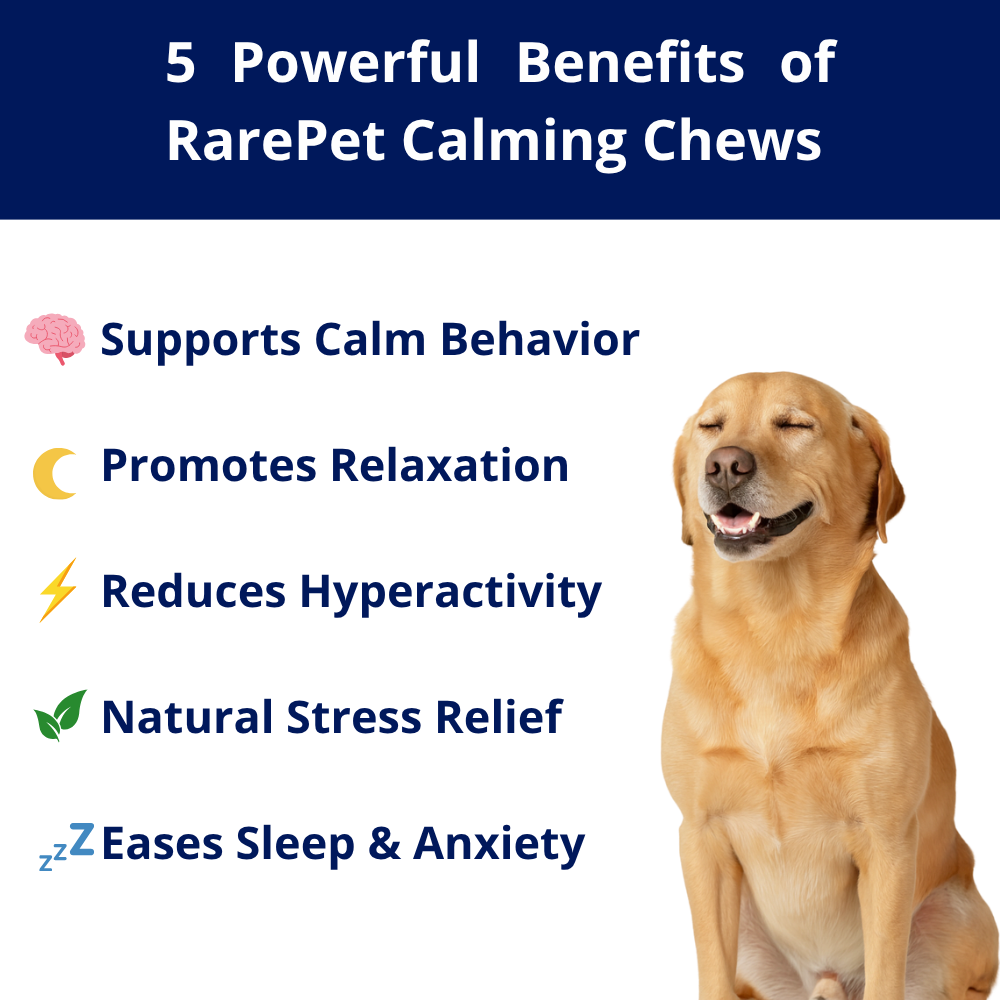 Natural Calming Chews for Dogs - Daily Anxiety & Stress Relief