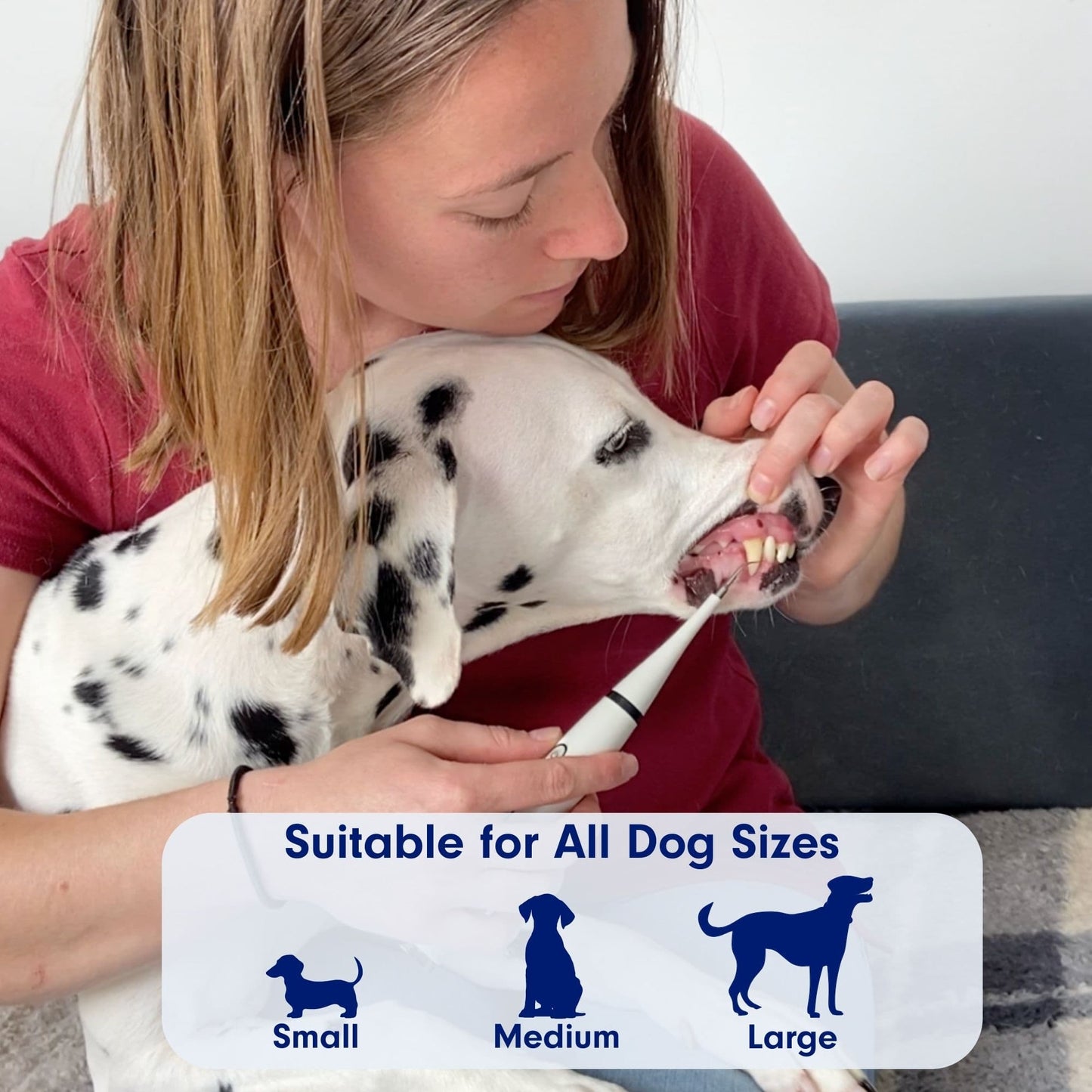 Canident – Sonic plaque & tartar remover for dogs