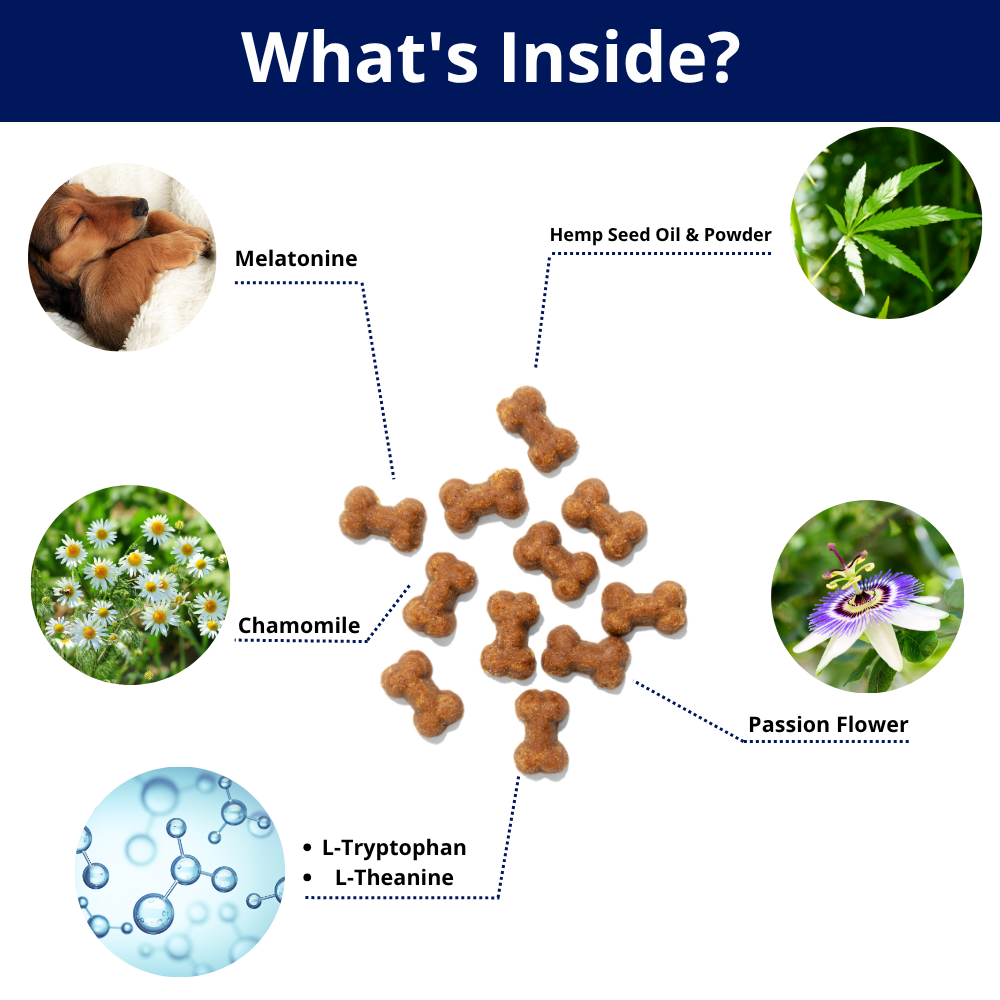 Natural Calming Chews for Dogs - Daily Anxiety & Stress Relief