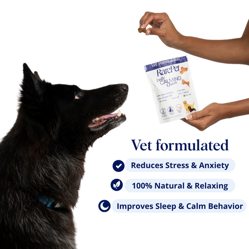 Natural Calming Chews for Dogs - Daily Anxiety & Stress Relief