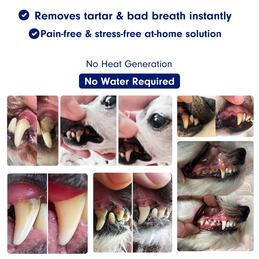 Canident – Sonic plaque & tartar remover for dogs