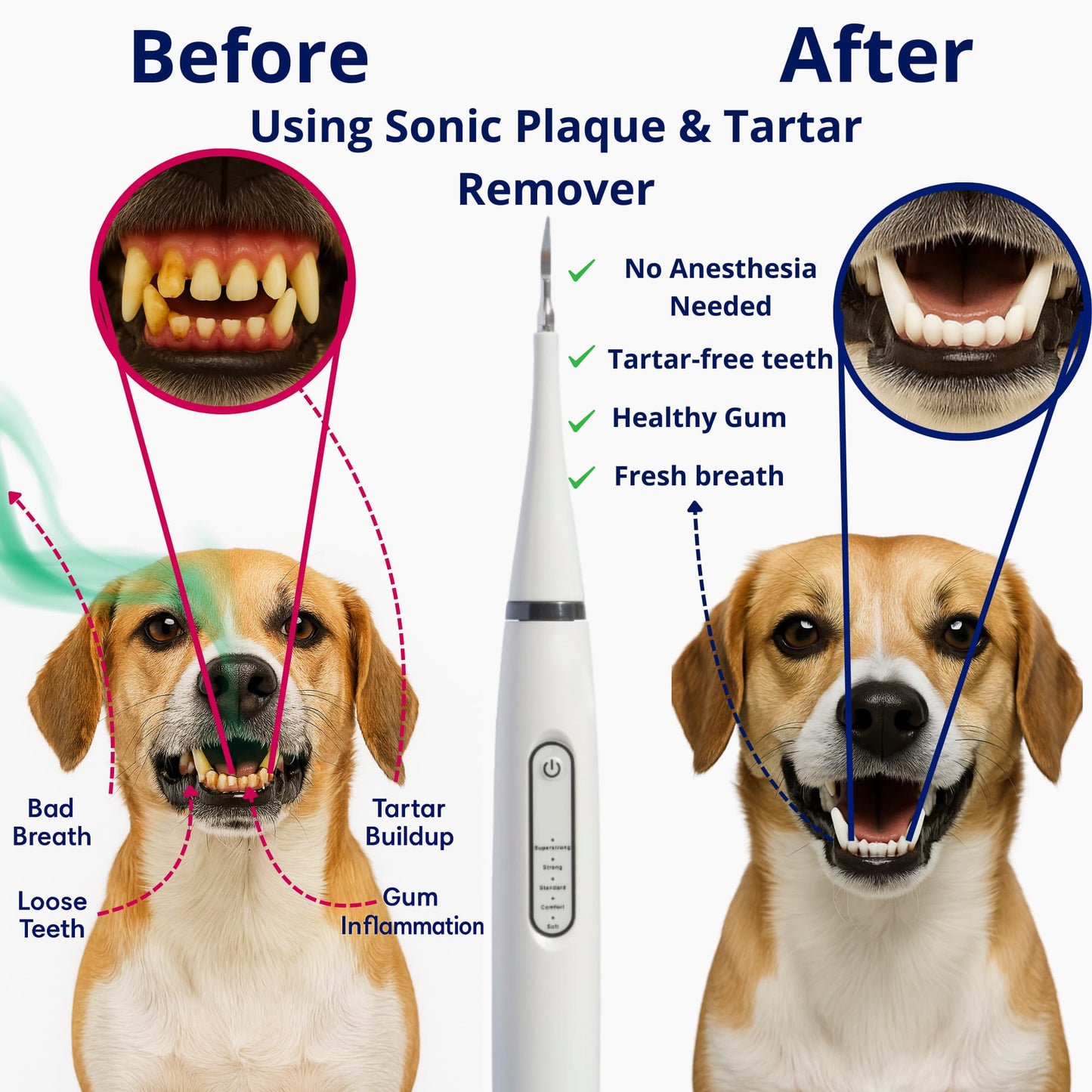 Canident – Sonic plaque & tartar remover for dogs