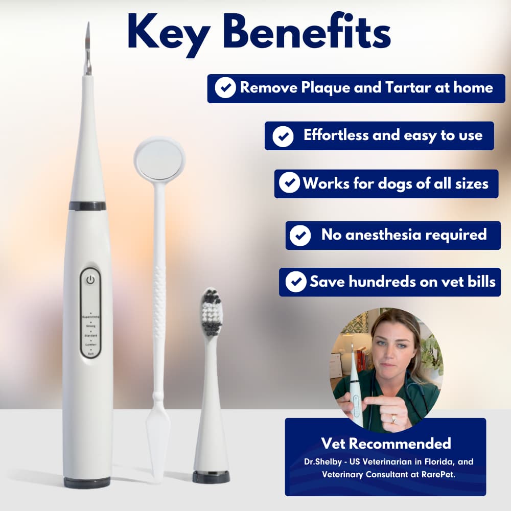 Canident – Sonic plaque & tartar remover for dogs