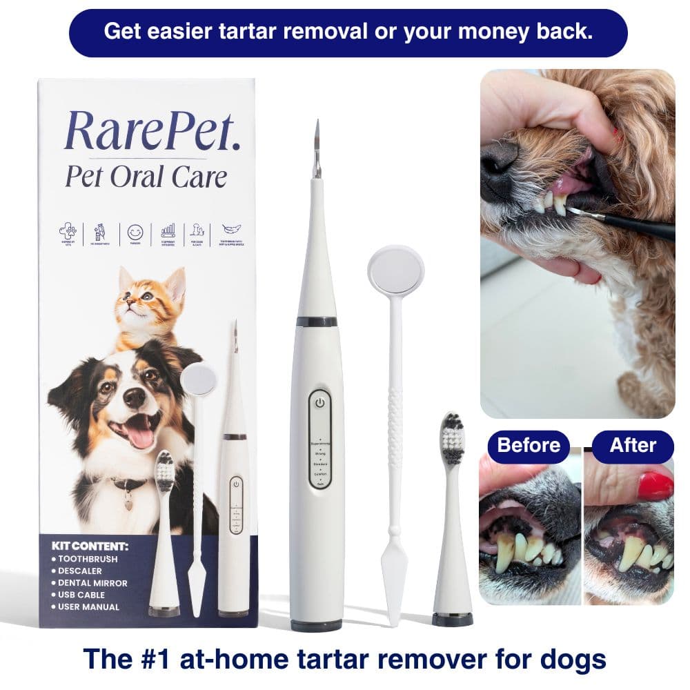 Canident – Sonic plaque & tartar remover for dogs