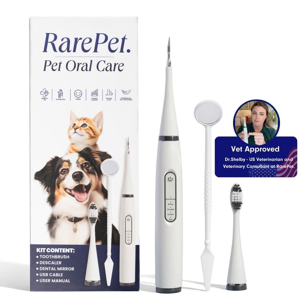 Canident Kit – Sonic plaque & tartar remover for dogs