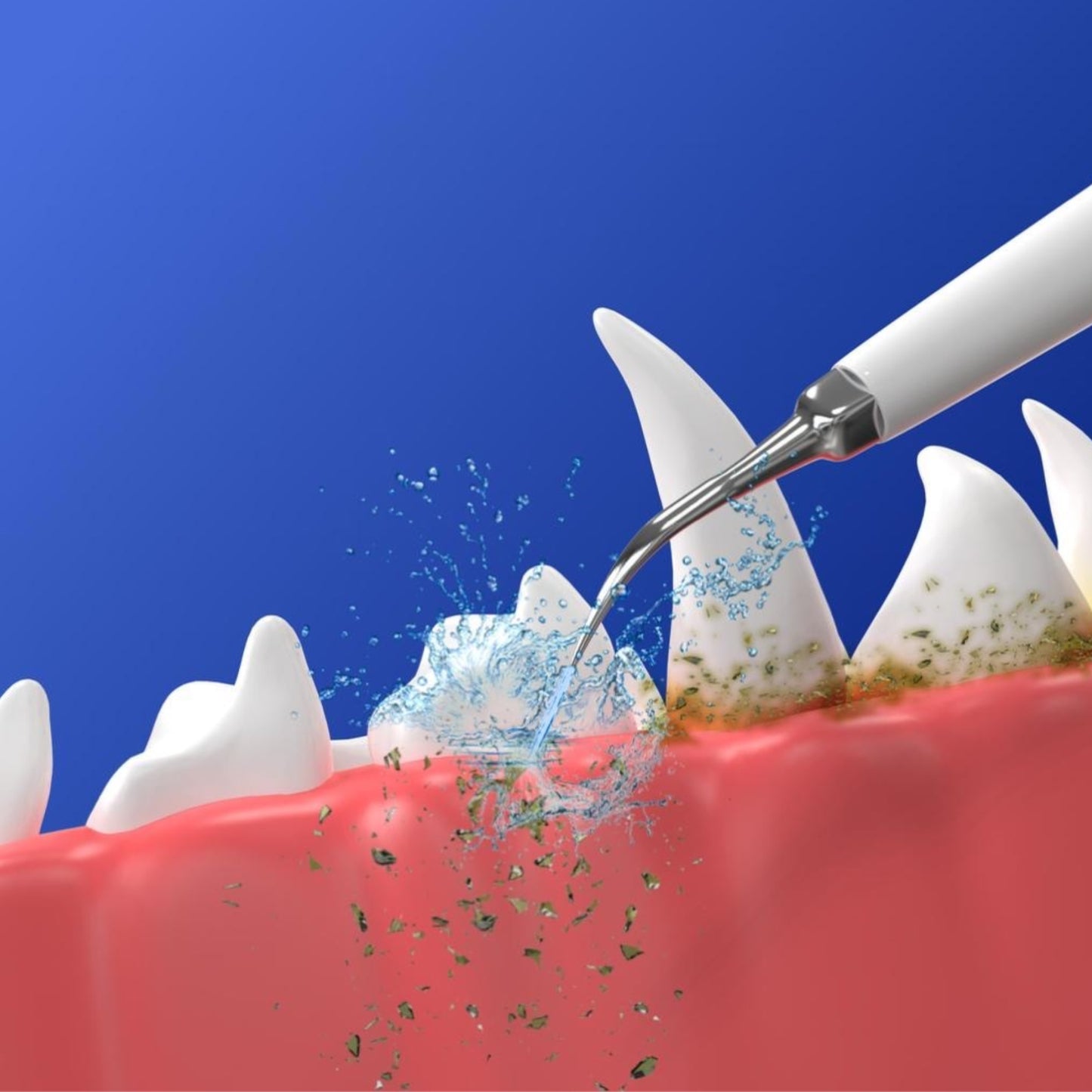 CaniVet dental scaler heads - Pack of 3