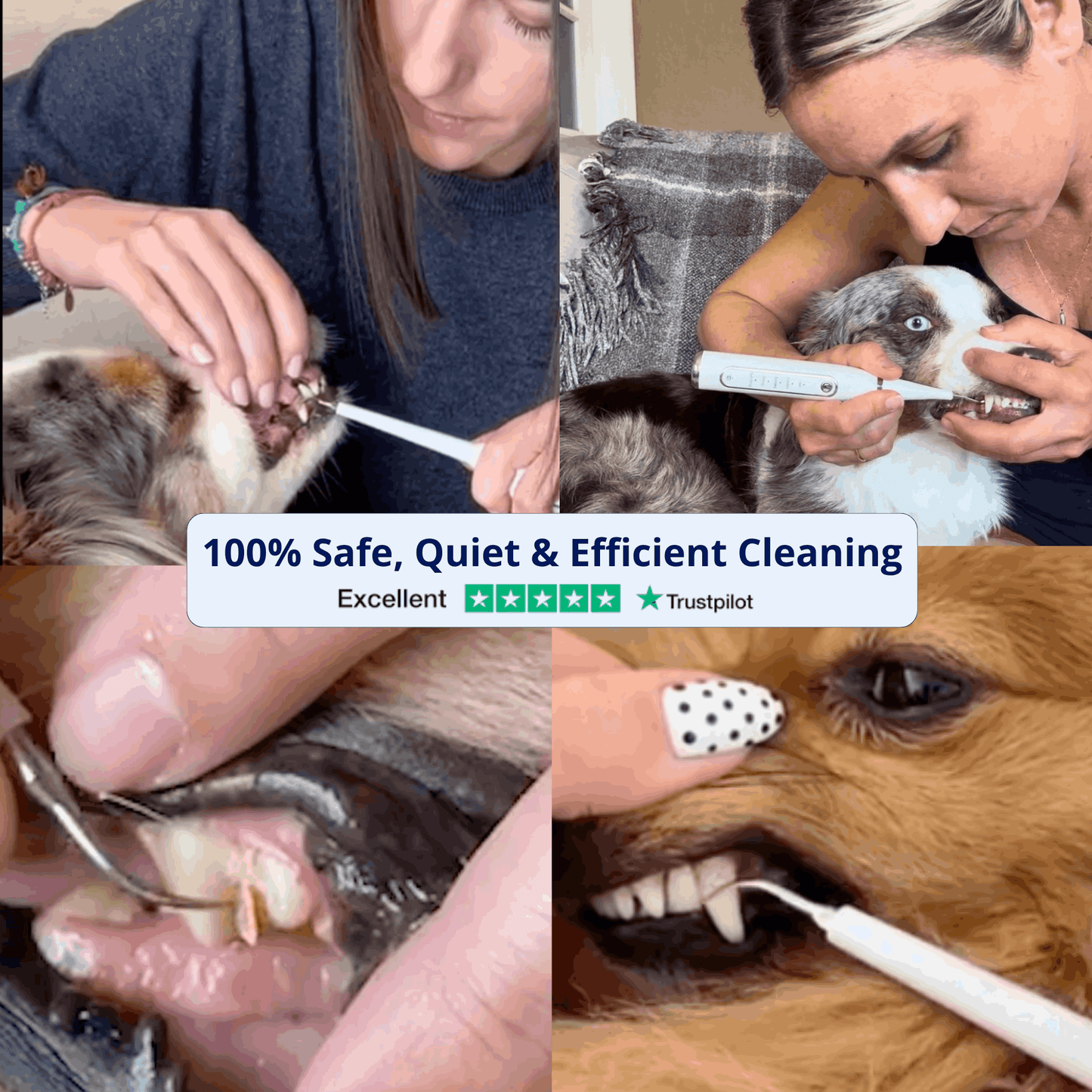 Canivet Kit - Silent Ultrasonic Plaque & Tartar Remover for dogs
