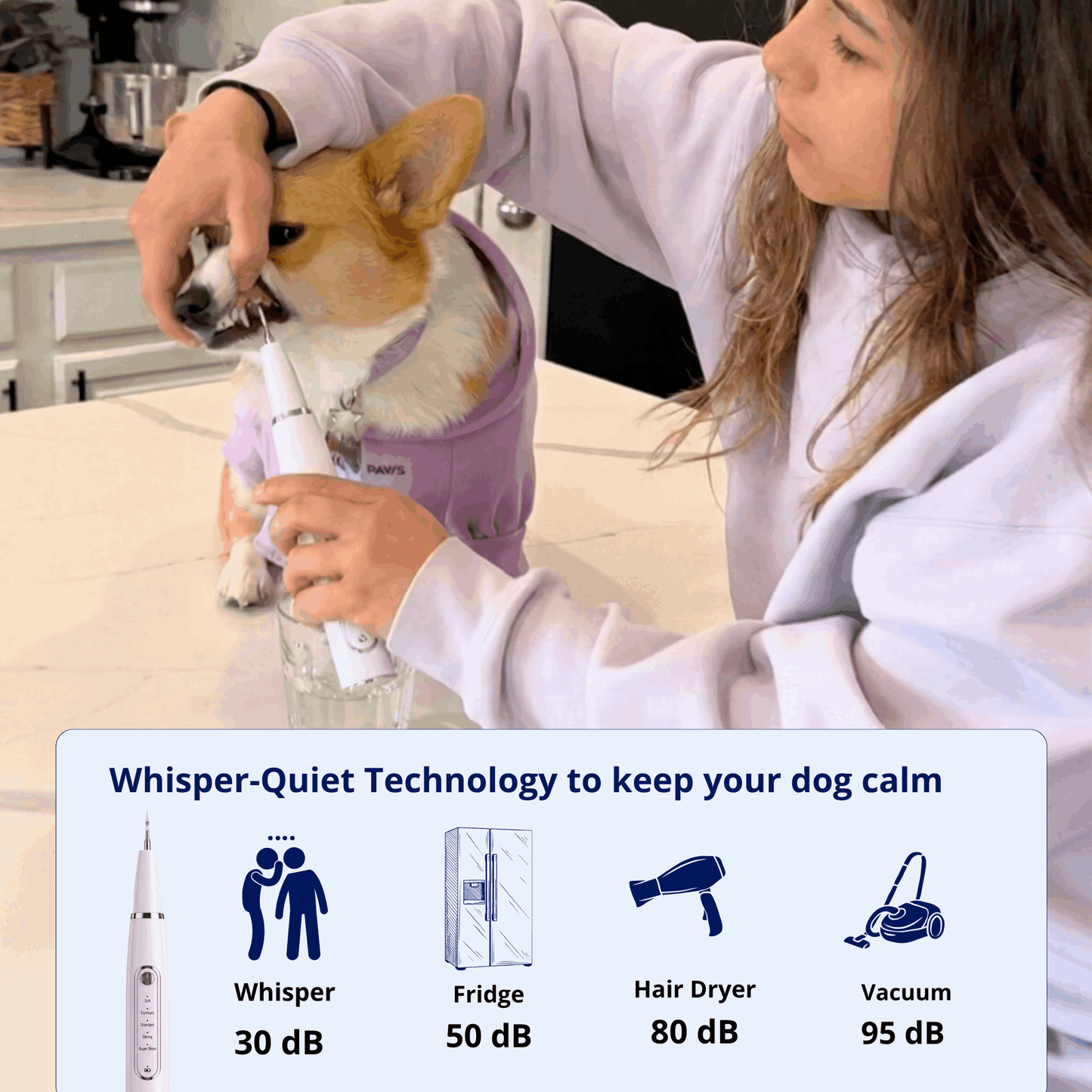 Canivet Kit - Silent Ultrasonic Plaque & Tartar Remover for dogs