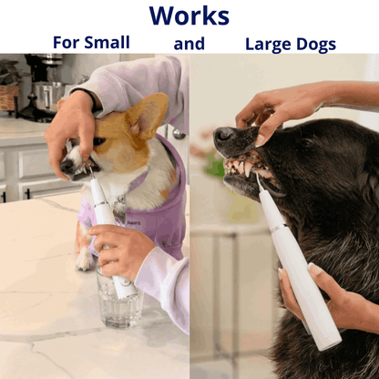 Canivet Kit - Silent Ultrasonic Plaque & Tartar Remover for dogs