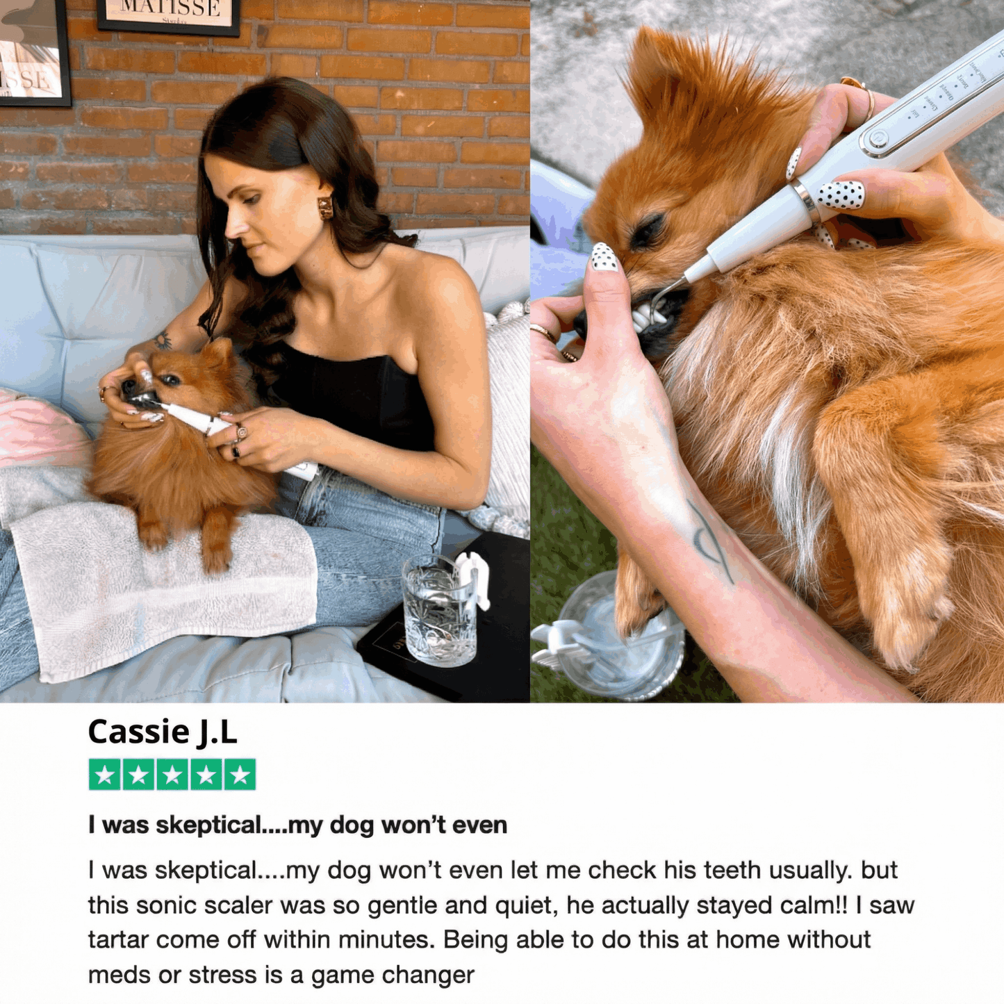 Canivet Kit - Silent Ultrasonic Plaque & Tartar Remover for dogs