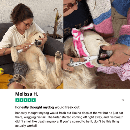 Canivet Kit - Silent Ultrasonic Plaque & Tartar Remover for dogs