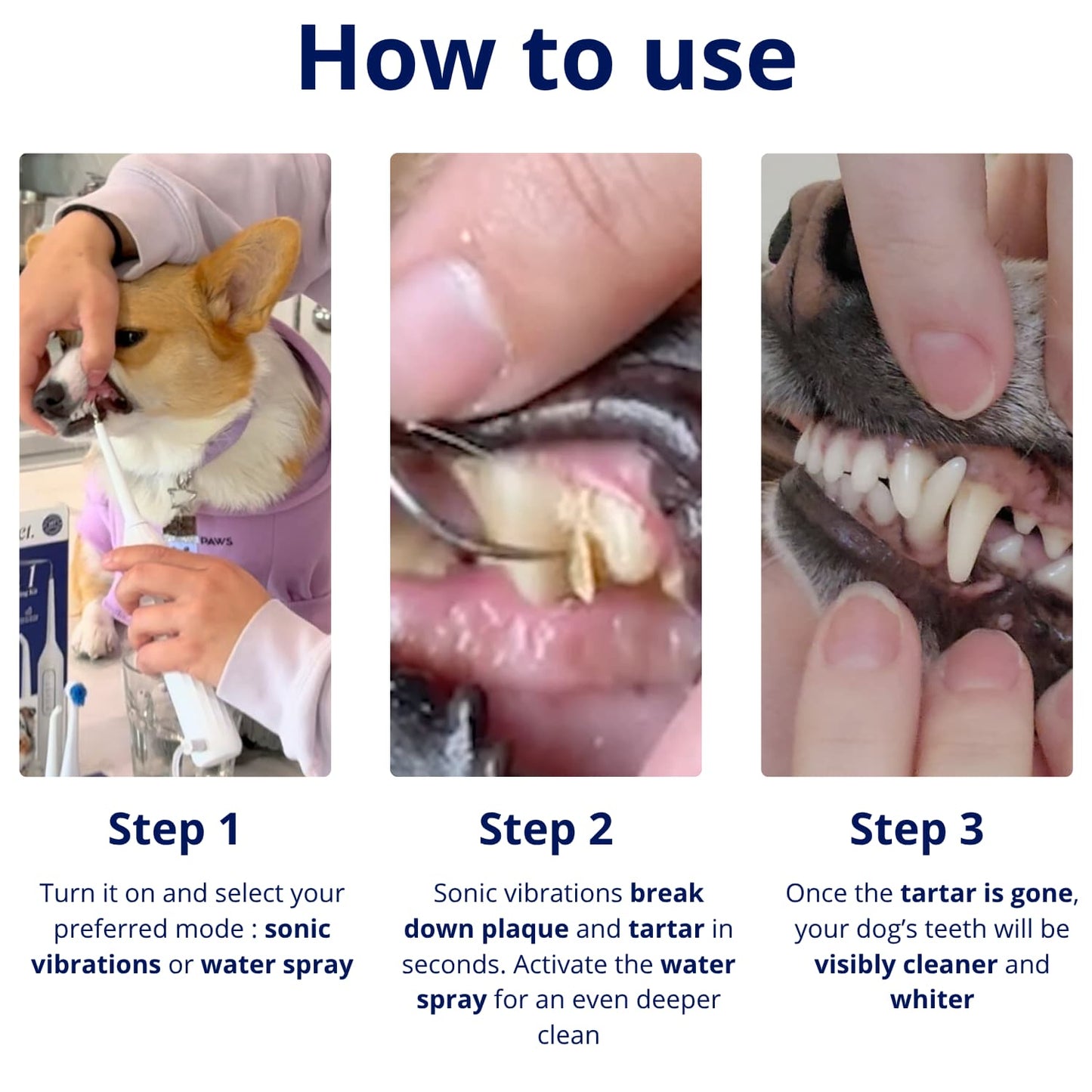 Canivet Kit - Silent Sonic Plaque & Tartar Remover for dogs