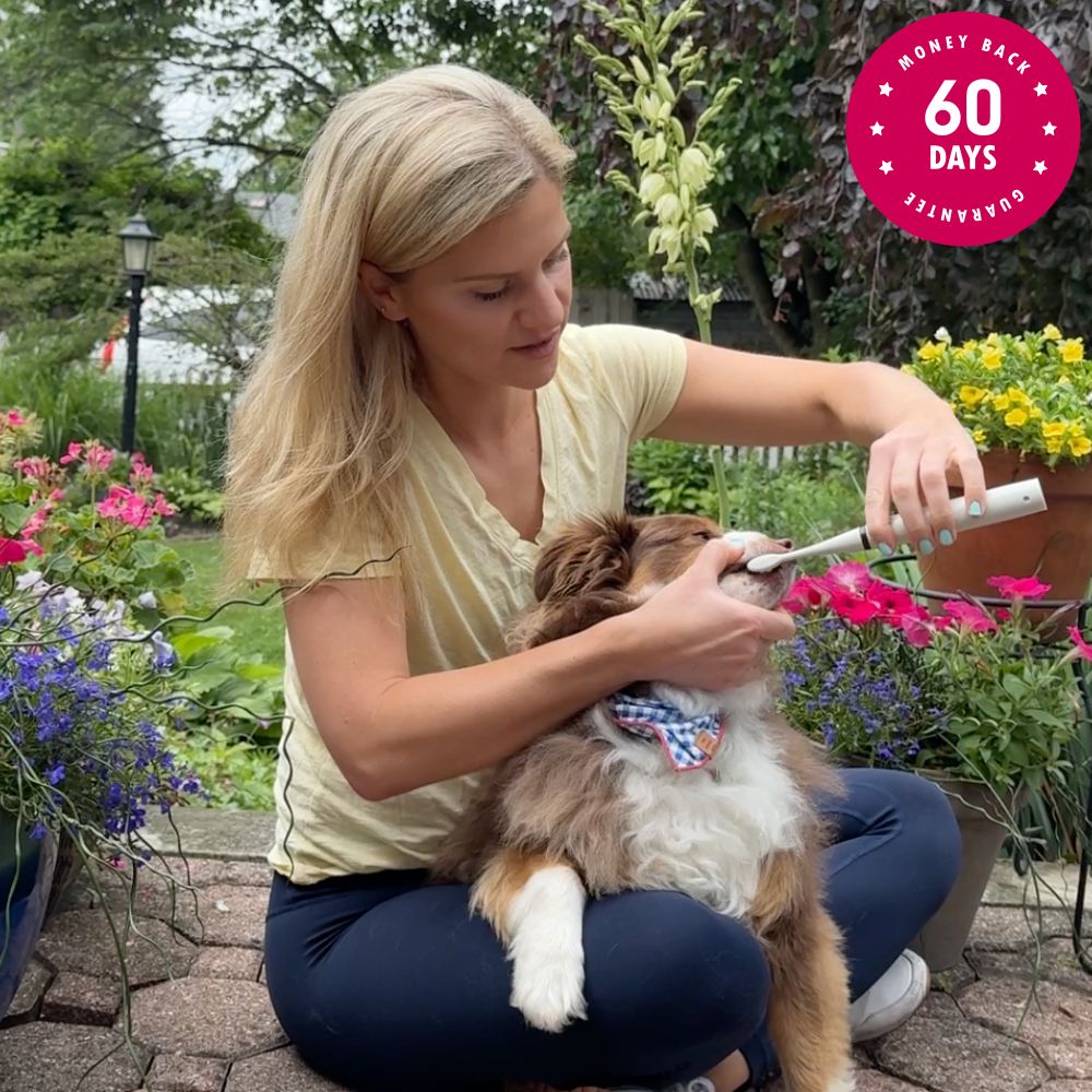 Canident – Sonic plaque & tartar remover for dogs