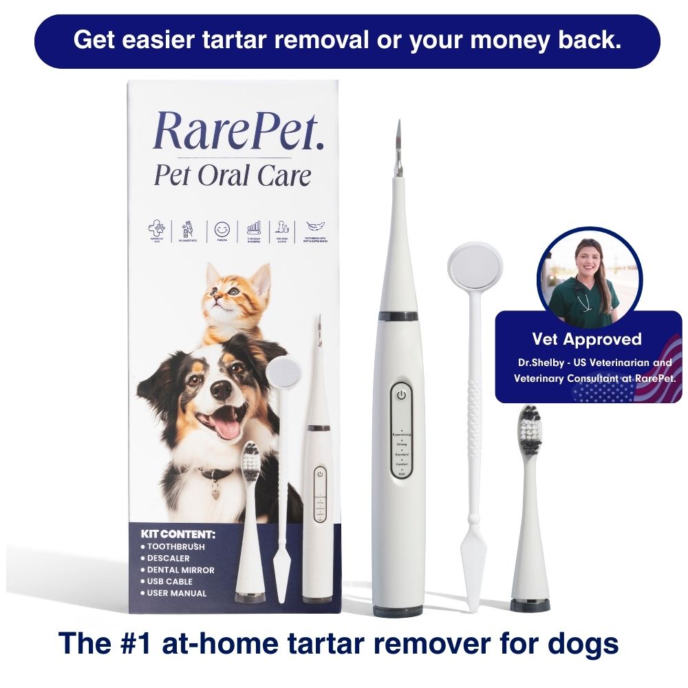 Canident – Sonic plaque & tartar remover for dogs
