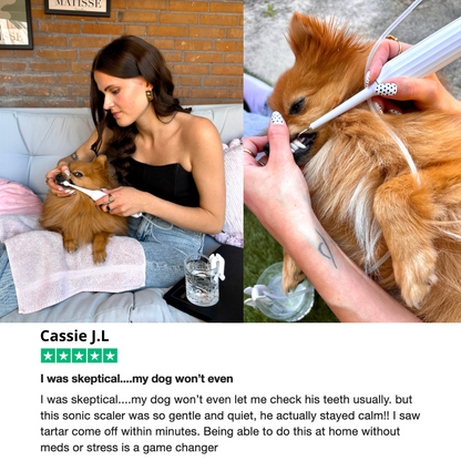 Complete Dog Dental Scaling Kit + Natural Enzymatic Toothpaste