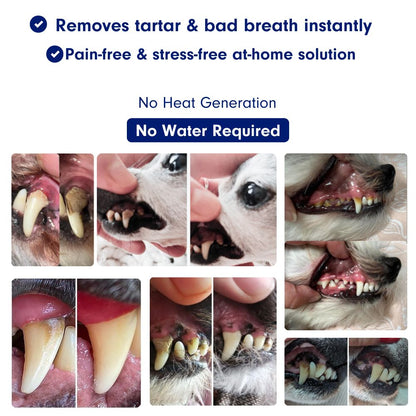Canident – Sonic plaque & tartar remover for dogs