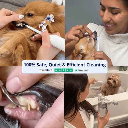 Canivet Kit - Silent Sonic Plaque & Tartar Remover for dogs