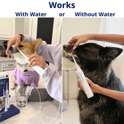 Canivet Kit - Silent Sonic Plaque & Tartar Remover for dogs