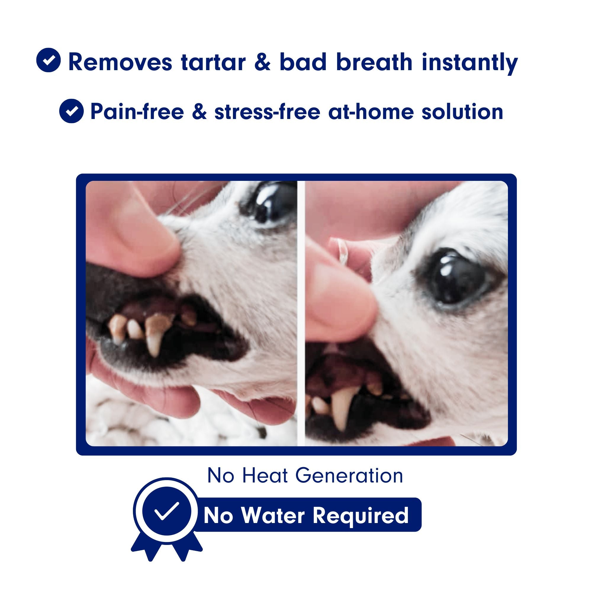 Canident Sonic Tooth cleaner for dogs RarePet.Co