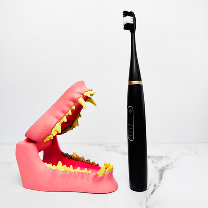 RareBrush - Dog Electric Toothbrush