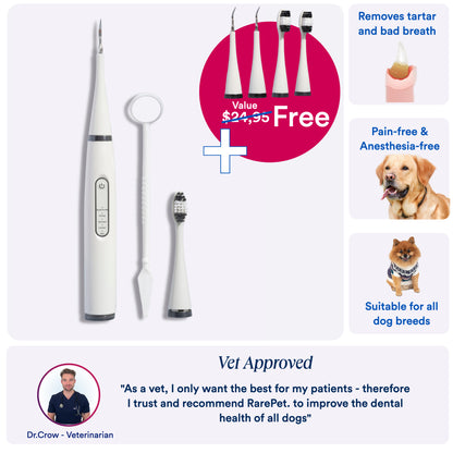 Canident Kit - Tooth cleaner for dogs