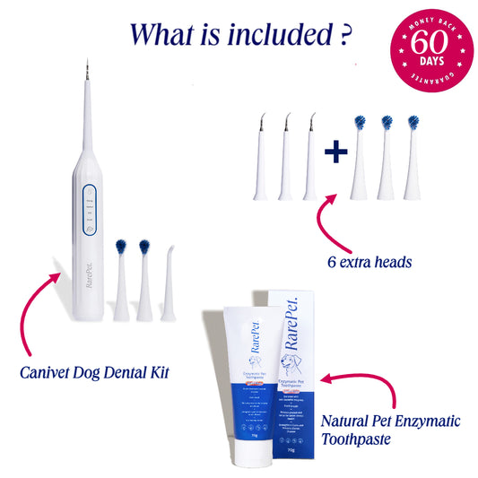 Christmas Bundle - Complete Dog Dental Care