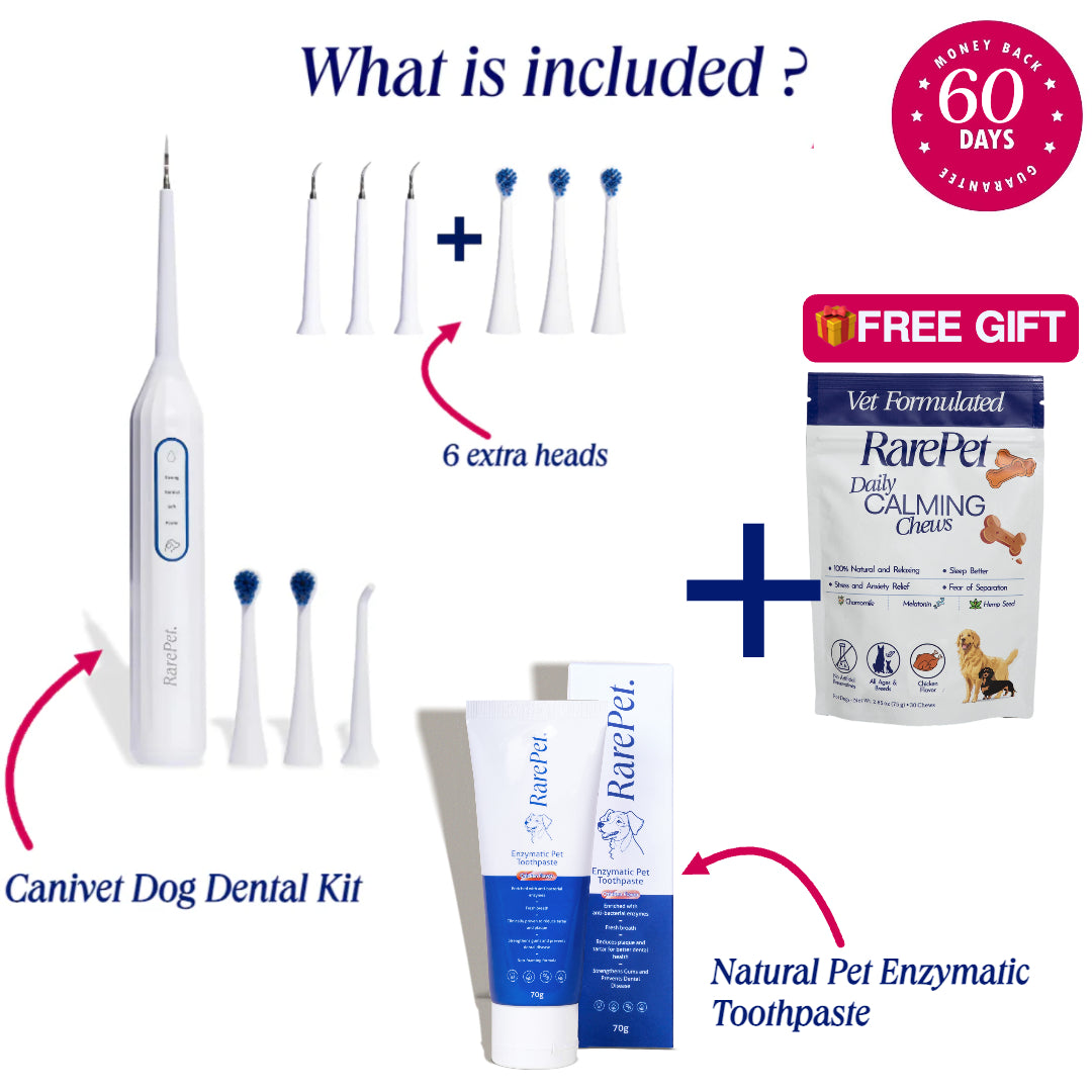 VIP BLACK FRIDAY Bundle - Complete Dog Dental Kit